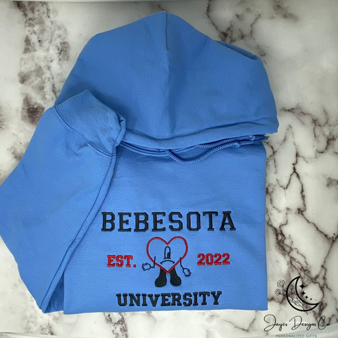 Bebesota University embroidered hoodie